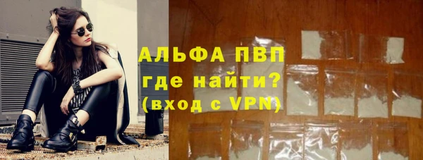 прущие грибы Нефтекумск