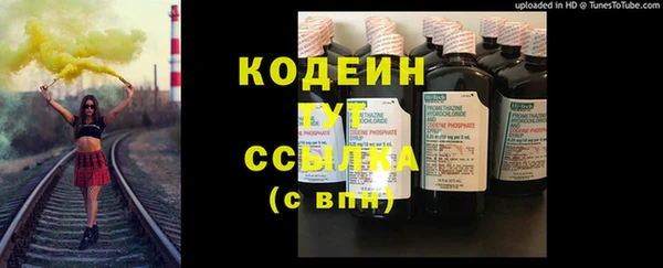 прущие грибы Нефтекумск