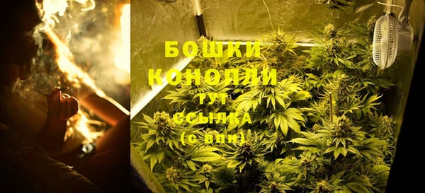прущие грибы Нефтекумск