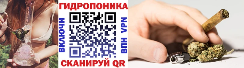 Каннабис конопля Щёкино